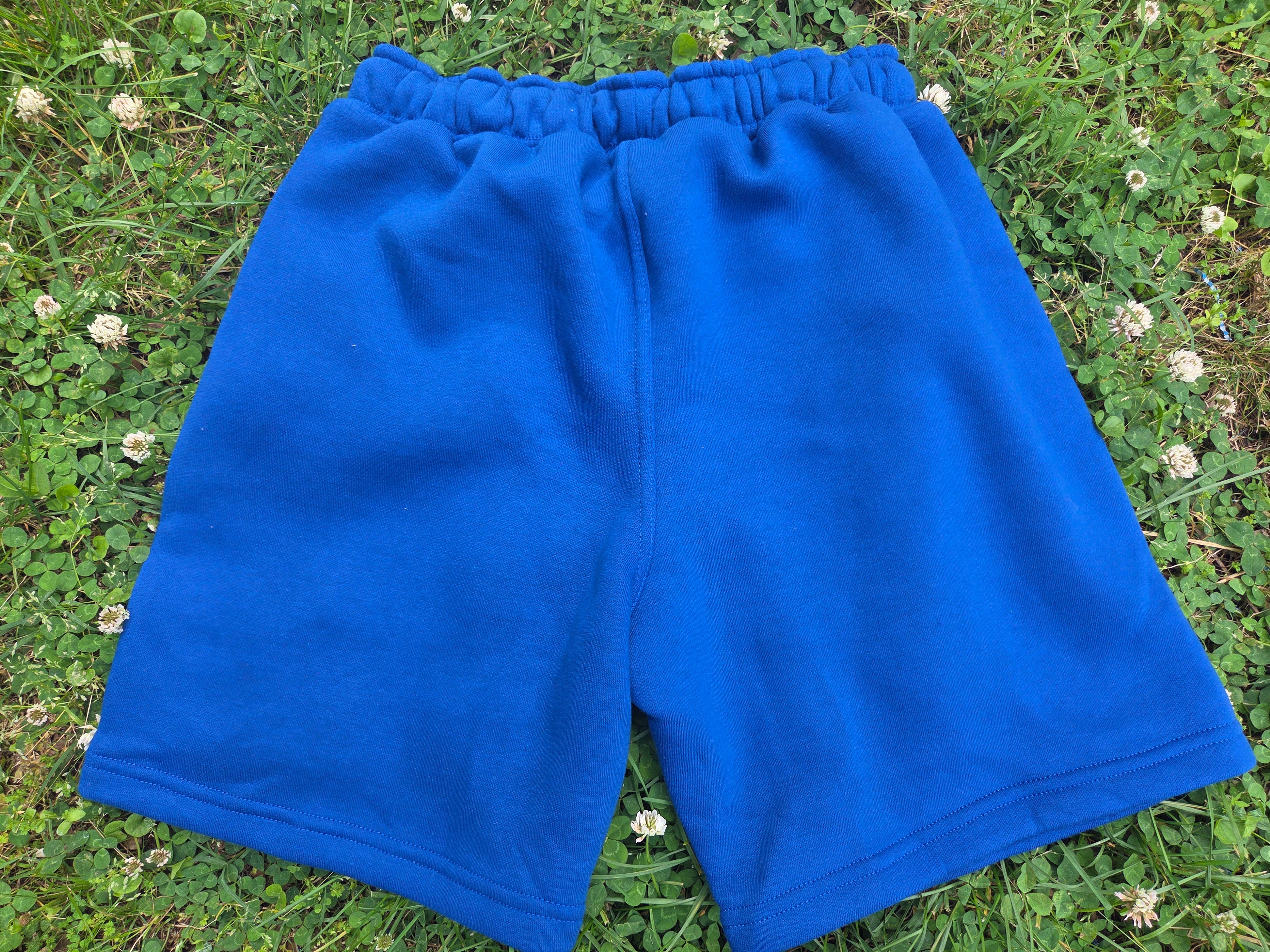 DollarDorado Royal Luxury Plush Shorts-Sapphire Blue
