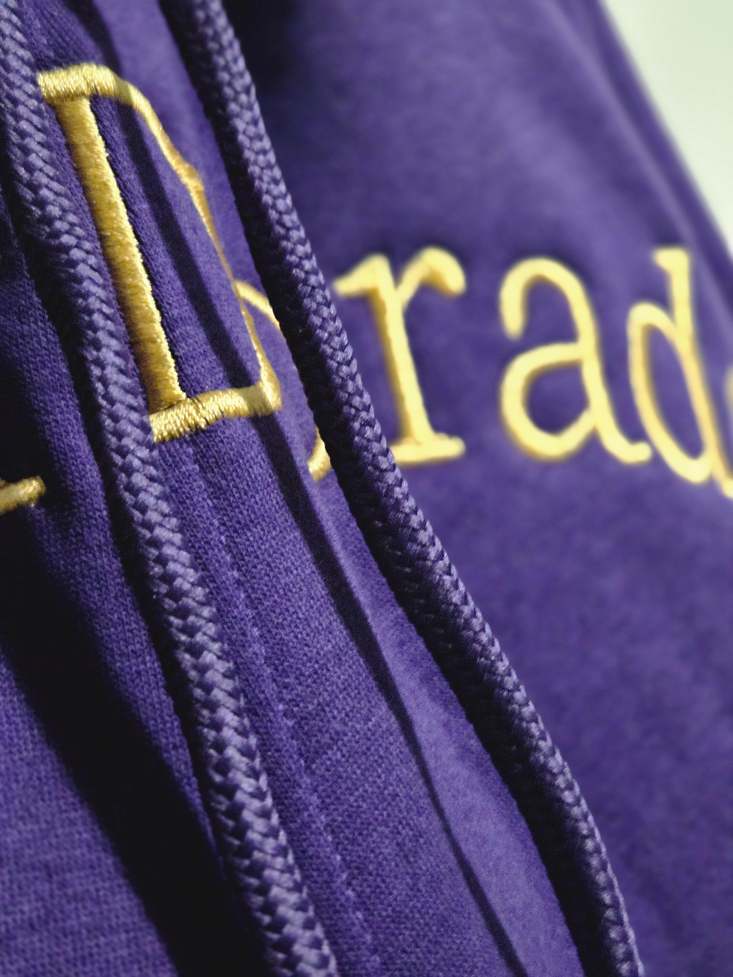 DollarDorado Royal Luxury Plush Shorts - Purple