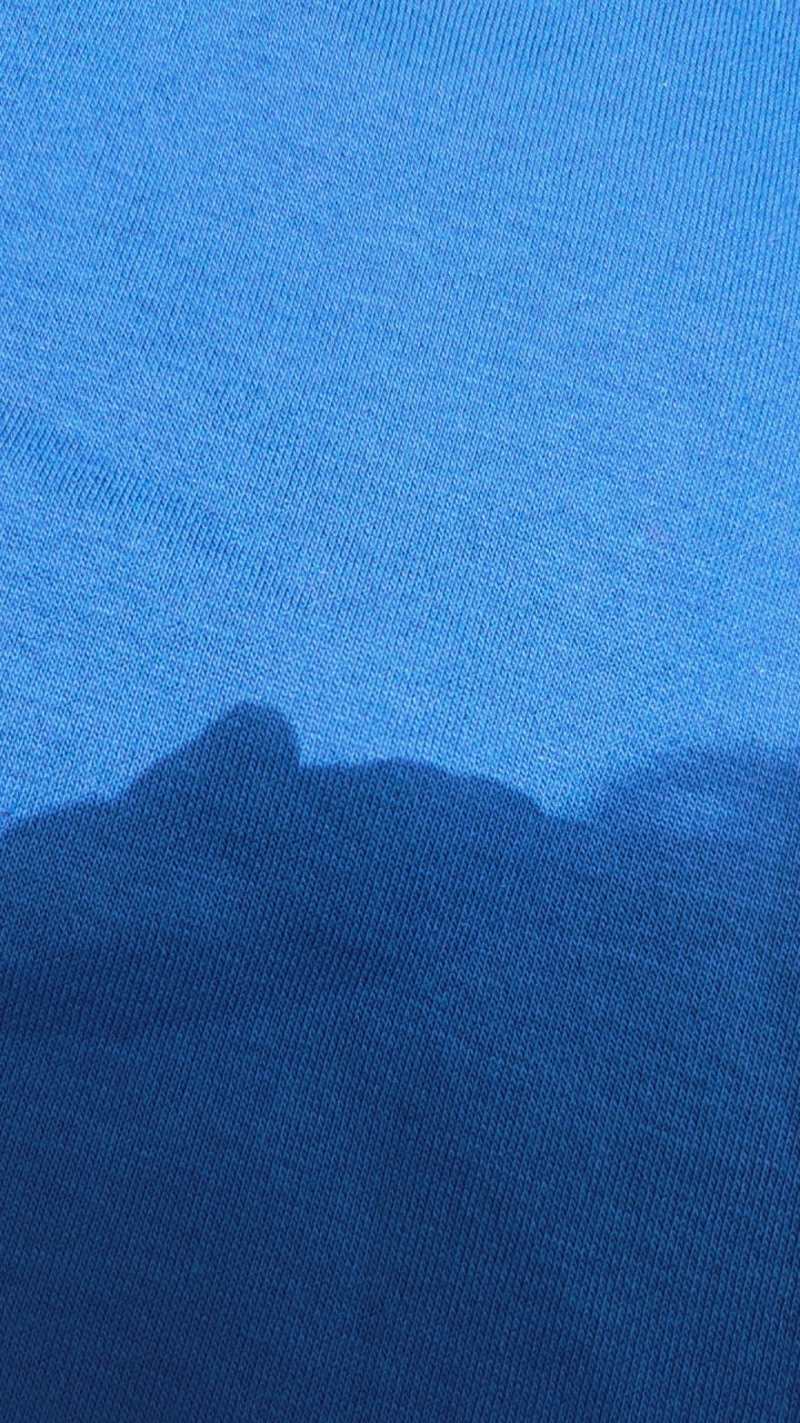 DollarDorado Royal Luxury Plush Shorts-Sapphire Blue